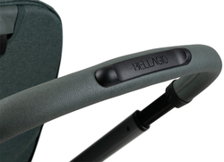 Коляска Chicco Bellagio 2 в 1 Fir Tree