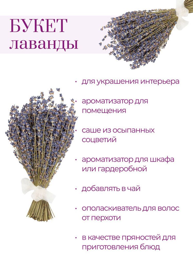 Букет-сухоцвет лаванды крымской 25-30 см