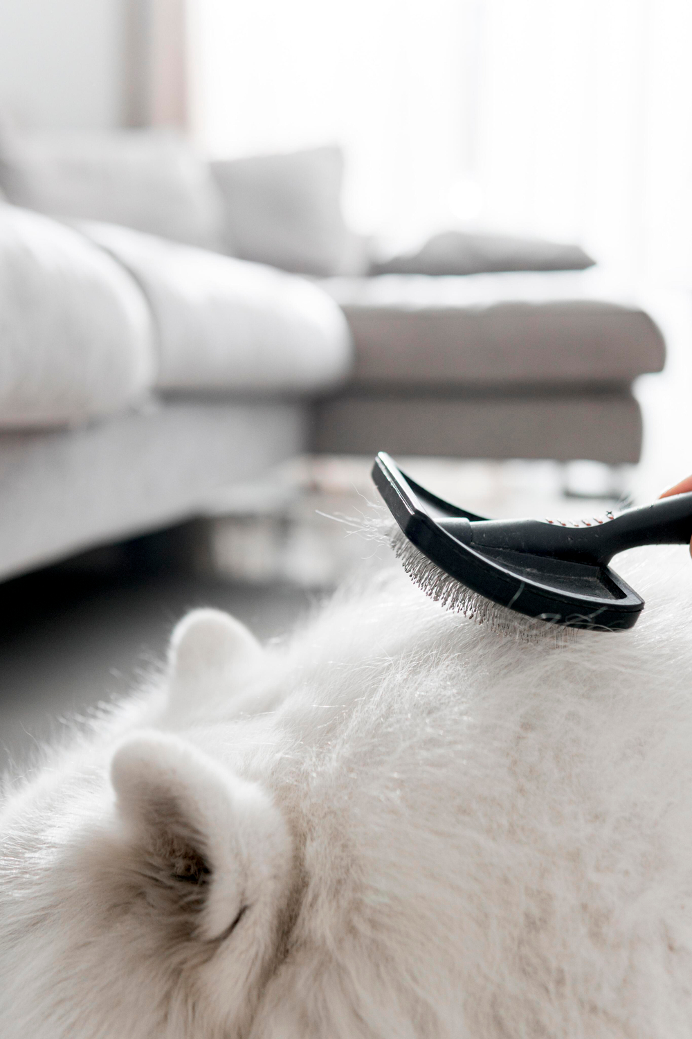 Химчистка кухонного уголка