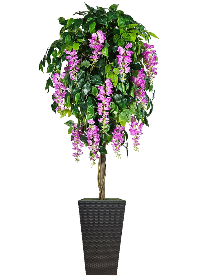 Искусственное дерево Глициния лиловая 180см в высоком коричневом кашпо ротанг