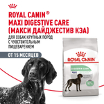 Royal Canin Maxi Digestive Care Корм сухой для взрослых собак больших размеров с чувствительным пищеварением 3 кг