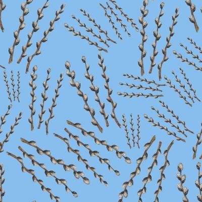 Ветки вербы на голубом фоне