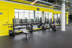 Олимпийская скамья для жима под углом Spirit SP-4210