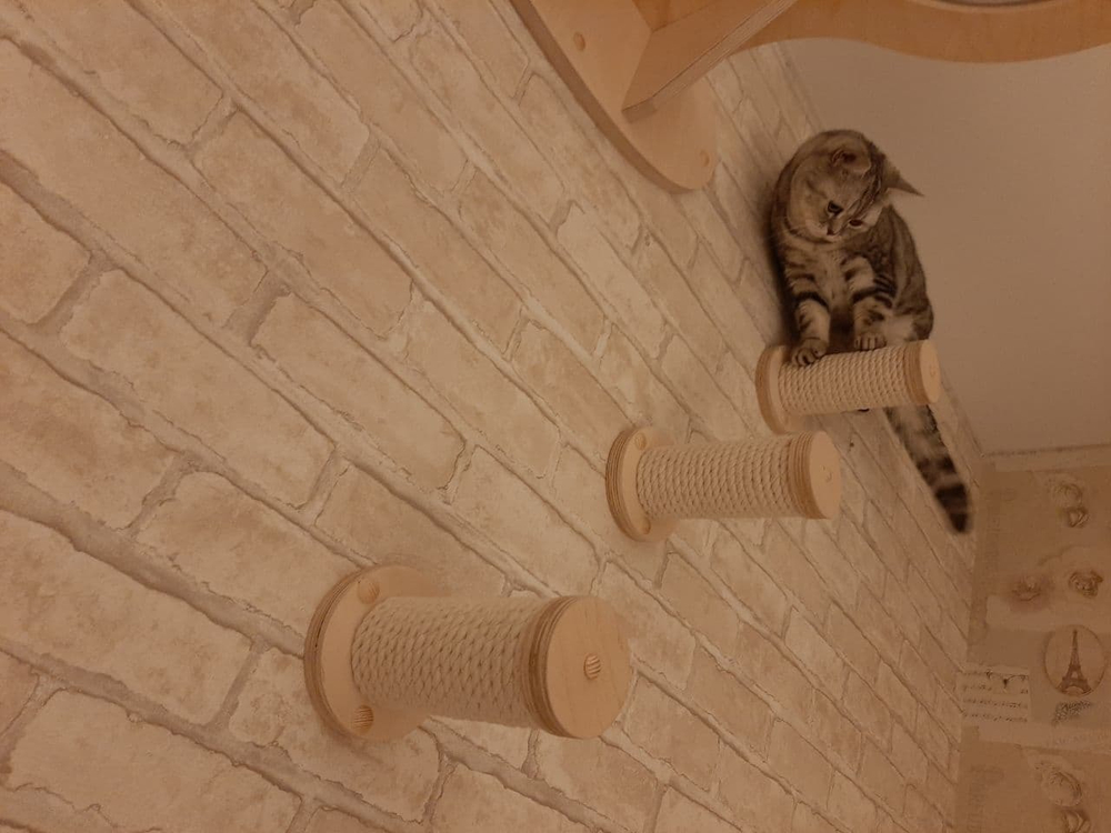 Ступенька круглая