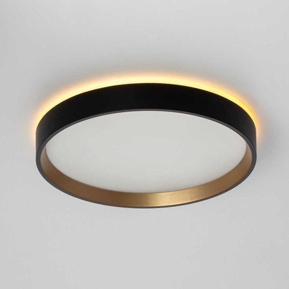 Потолочный светодиодный светильник Citilux Etalon CL750241