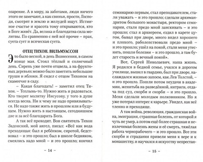 На высотах духа. Сергей Большаков