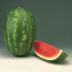 ФАРАО F1 семена арбуза (Syngenta | Alexagro)