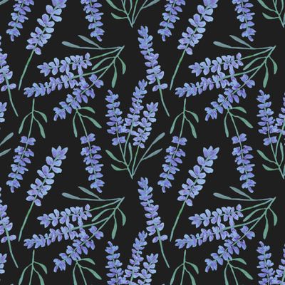 Нежные цветы лаванды на чёрном фоне