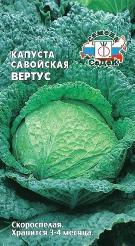 капуста Вертус