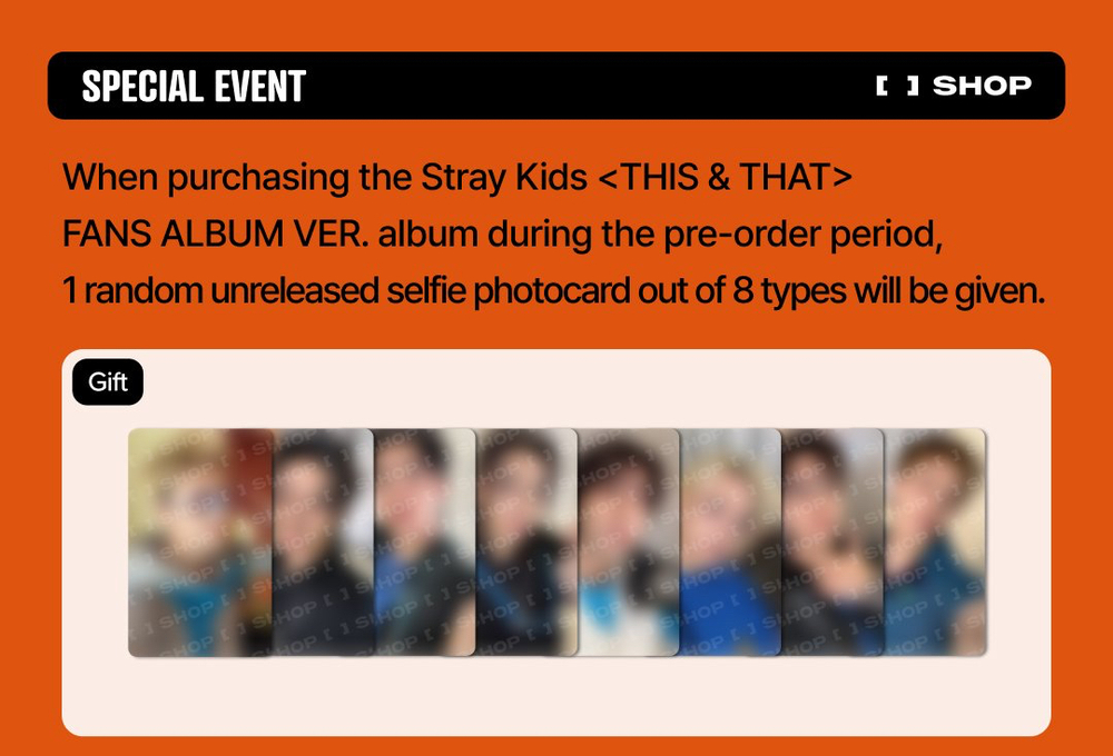 Альбом Stray Kids - THIS & THAT (FANS ALBUM Ver.) - с подарками за предзаказ