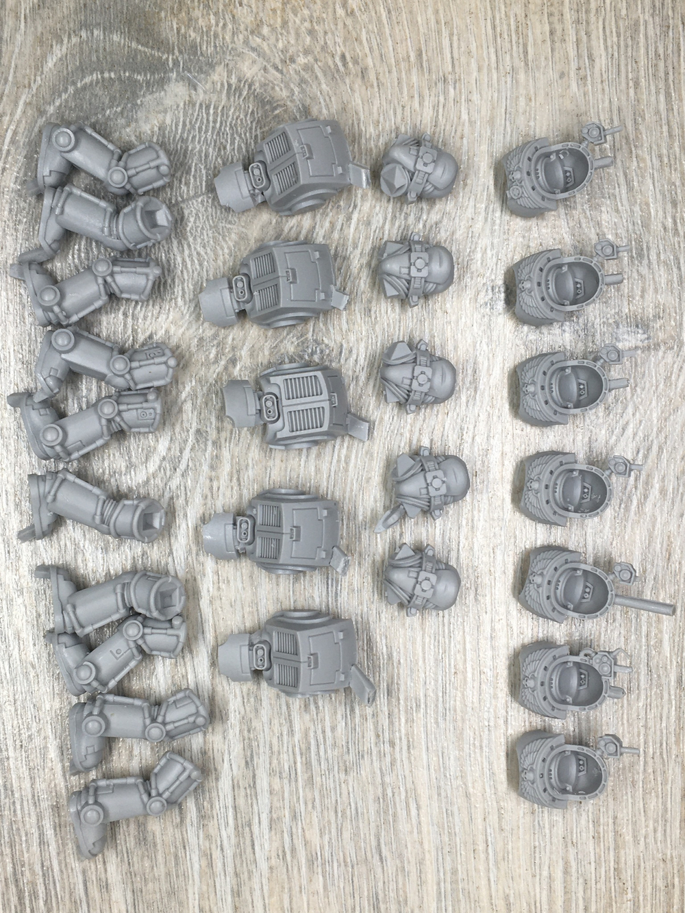 TERMINATOR SQUAD
