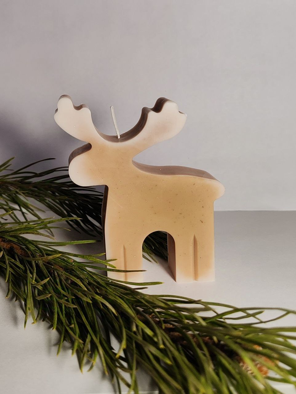 Волшебный свет северного оленя