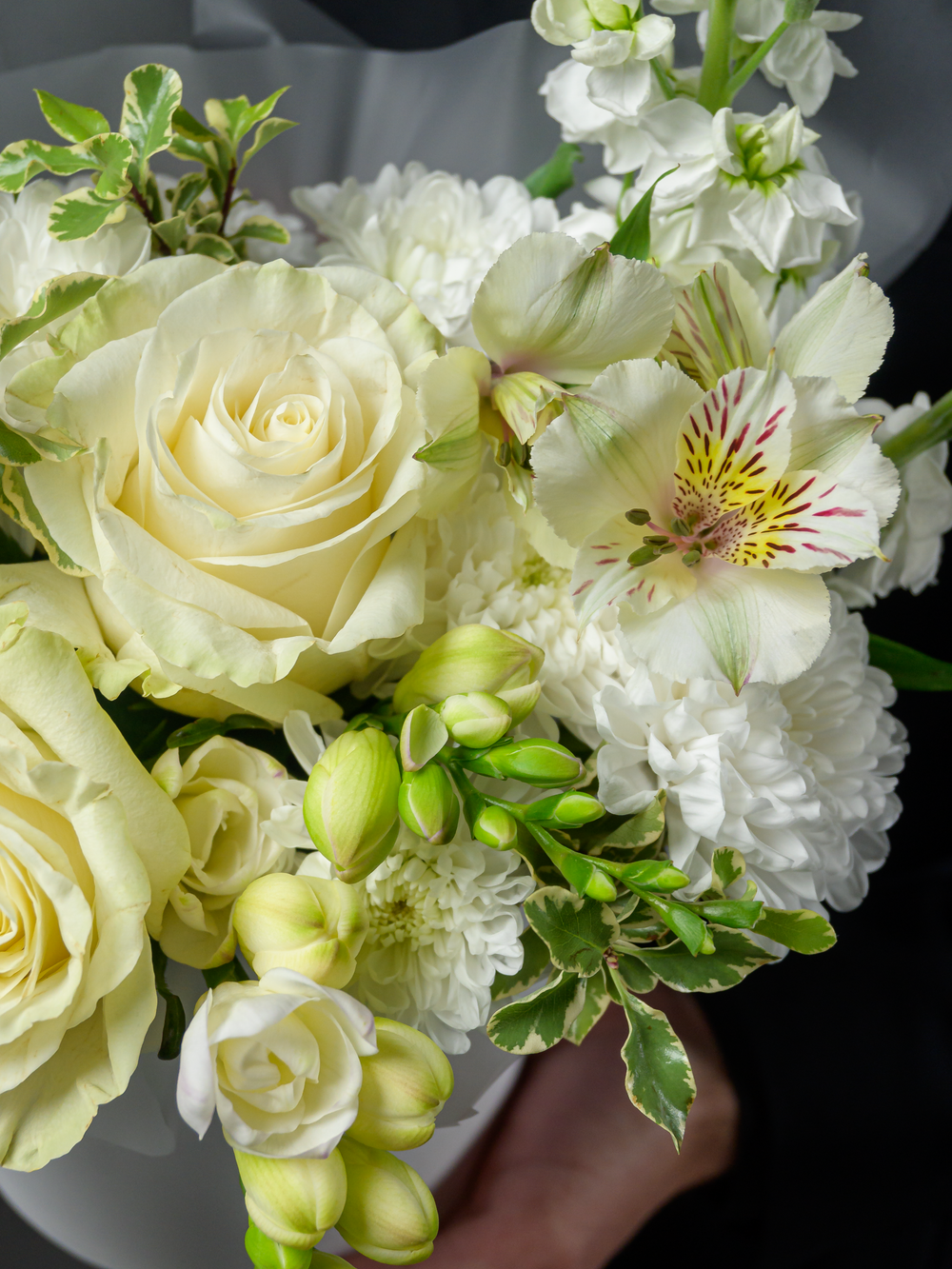 Чистая радость *