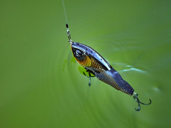 Воблер плавающий LJ BBS Original ARROW JERK F 015.00/028