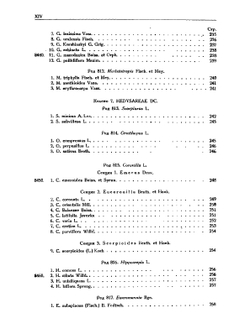 Флора СССР. Том 13. Бобовые | В.Л. Комаров