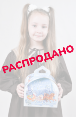 Сладкий новогодний подарок "Акварельная зима" 900гр