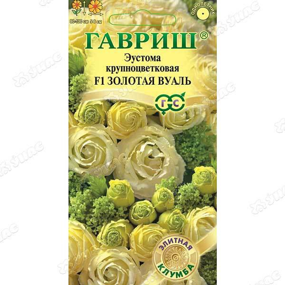 Эустома Золотая Вуаль Гавриш Ц