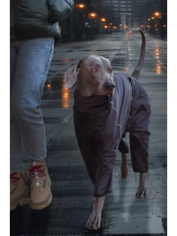 Комбинезон дождевик для собак средних и крупных пород