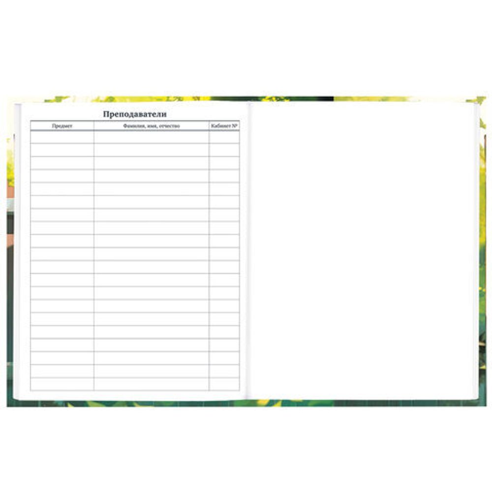 Дневник 1-11 класс 40 л., твердый, BRAUBERG, глянцевая ламинация, "Девочка и кот", 107166