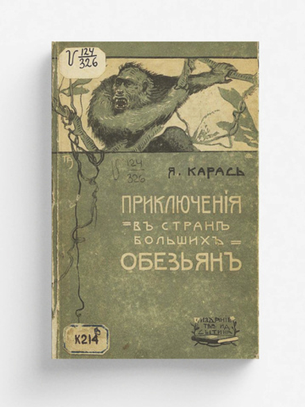 Приключения в стране больших обезьян | Борисов Яков Васильевич