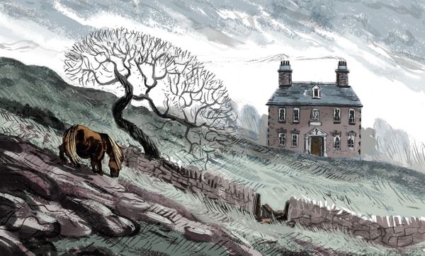 Хранитель острова Паффин. Майкл Морпурго