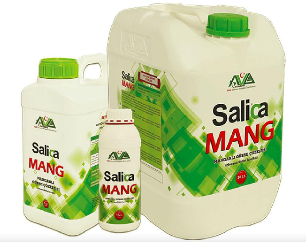 salica mang