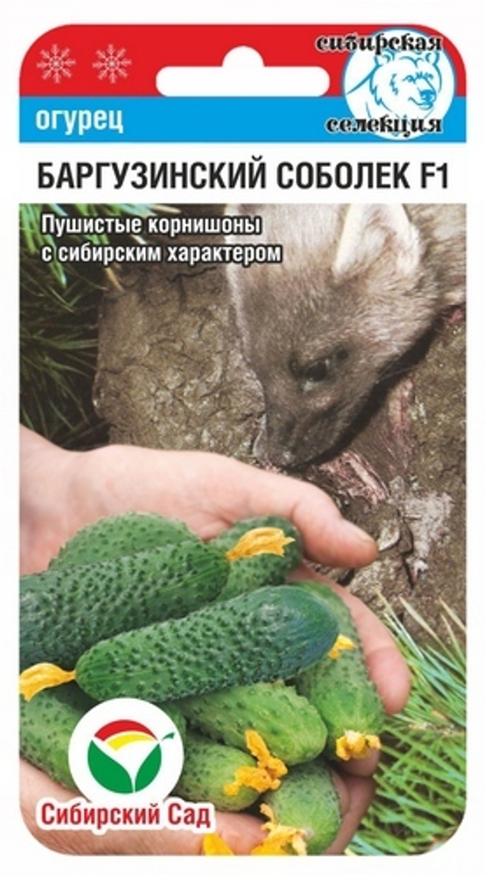 Огурец Баргузинский соболёк 7шт СибСад