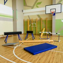 Конь гимнастический прыжковый (переменной высоты) ZAVODSPORTA