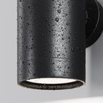 Настенный светильник (бра) Outdoor O493WL-01B