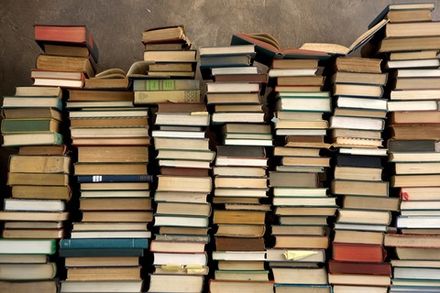Книги Надежды Семеновой