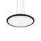 Подвесной светильник Loft It Sweety 10454/400P Black