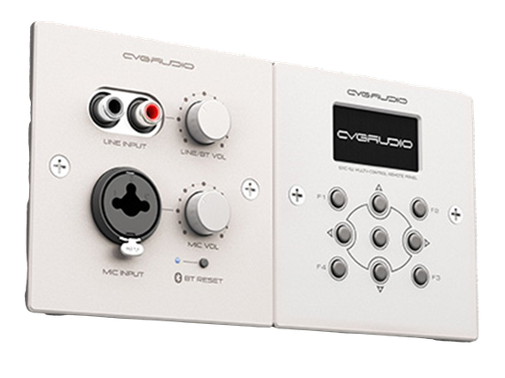 CVGAUDIO PW-IN/W настенная панель удаленного зонального подключения