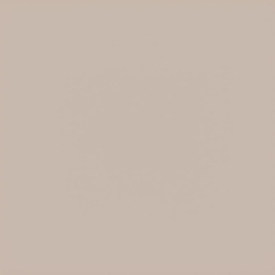 Прогулочная коляска Carrello Bravo Carbon CRL-5530 Frost Beige