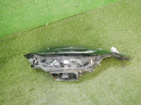 DSCN6691.jpg
