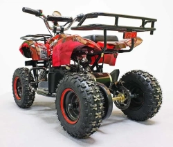 Электроквадроцикл Green Camel Гоби K31 (36V 800W R6 Цепь) ножной тормоз
