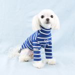 588 Водолазка в полоску "Stripes T-Shirt Puppy Angel"