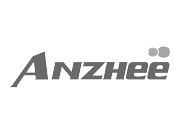 Anzhee VULTURE BSW 500