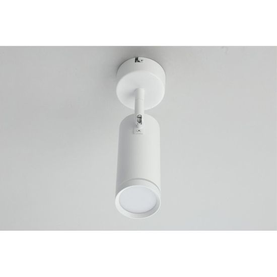 Светильник настенно-потолочный OML-102219-12