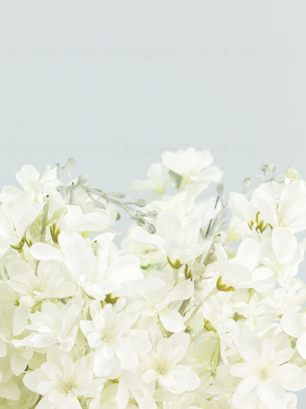 Дельфиниум Эстер уценка (цена за 18 веток)