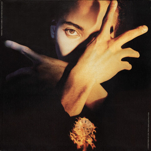 Terence Trent D'Arby / Neither Fish Nor Flesh (A Soundtrack Of Love, Faith, Hope, And Destruction)(LP)