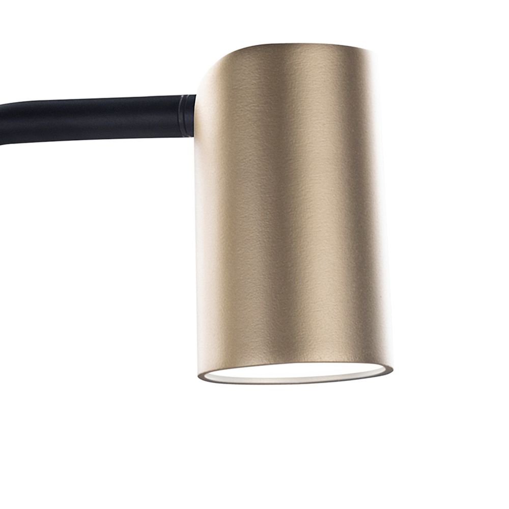 8491 Настольная лампа SAL