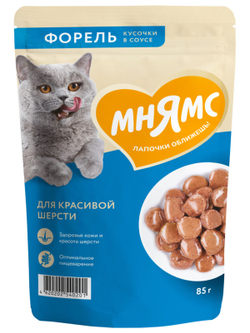 Влажный корм Мнямс На каждый день Кусочки в соусе с форелью для красивой шерсти кошек 85 г