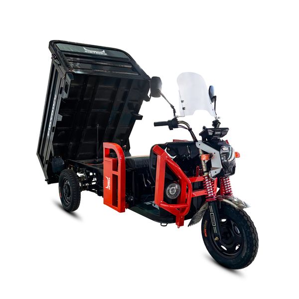 Грузовой электрический трицикл WHITE SIBERIA SIBTRIKE CARGO 1.6 2000W (60V/55Ah) фото №1