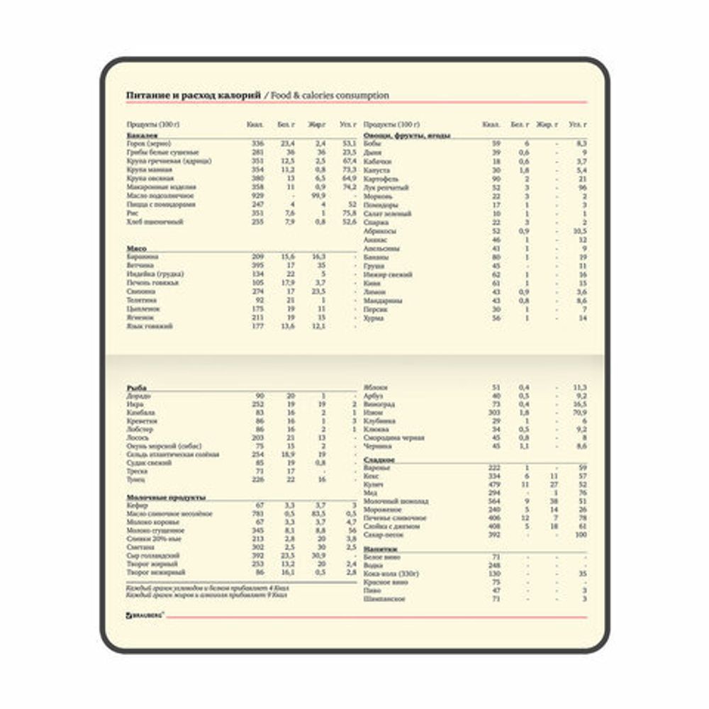 Еженедельник недатированный МАЛЫЙ ФОРМАТ 95х155 мм, А6, BRAUBERG "Iguana", под кожу, 64 л., сиреневый, 114482