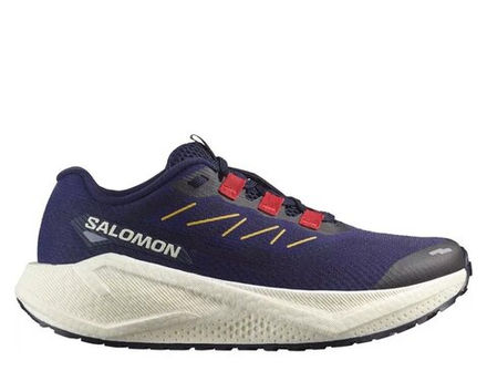 Кроссовки для бега мужские Salomon Aero Blaze 3 GRVL M Зеленовато-Фиолетовые