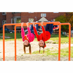 W205 Воркаут Брусья гнутые ZAVODSPORTA