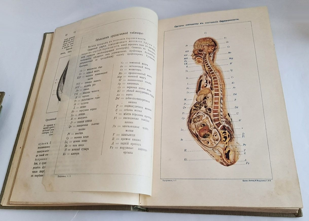 "Здоровье, его сохранение, расстройство и восстановление (ч.1,2,4)". Настольная книга для семьи. Р. Коссман, Ю. Вейсс. 1910г. - антикварное издание