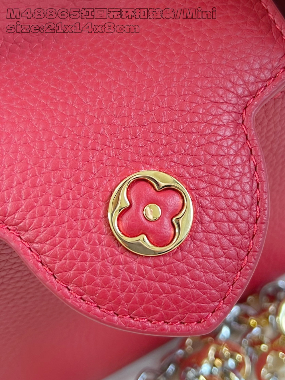 Louis Vuitton Capucines Mini