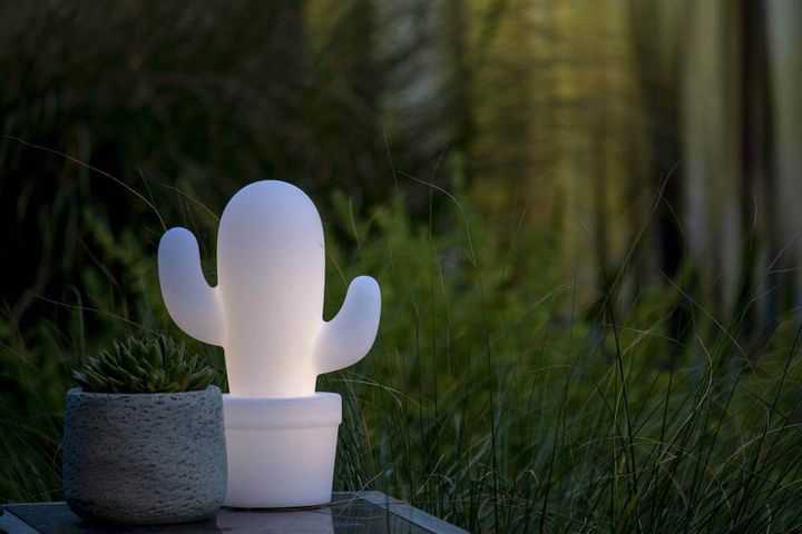 Уличный светодиодный светильник Lucide Cactus 13813/02/31