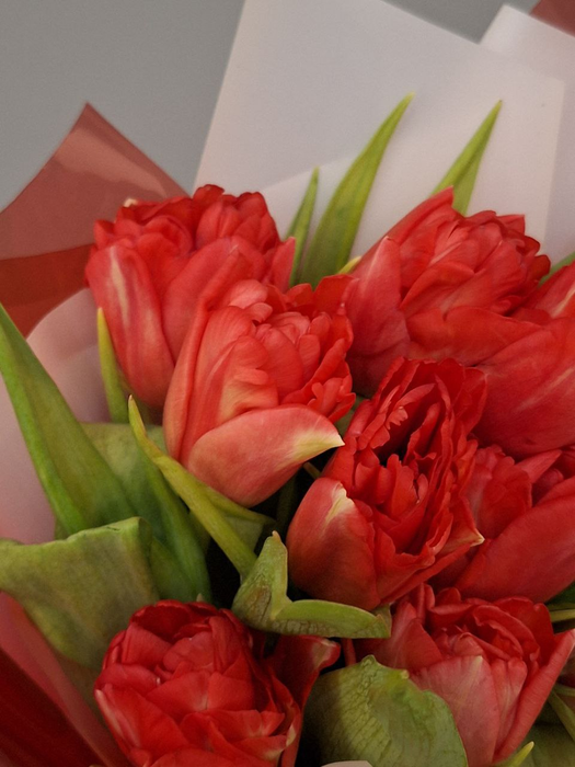 Букет "Весенний тюльпан"